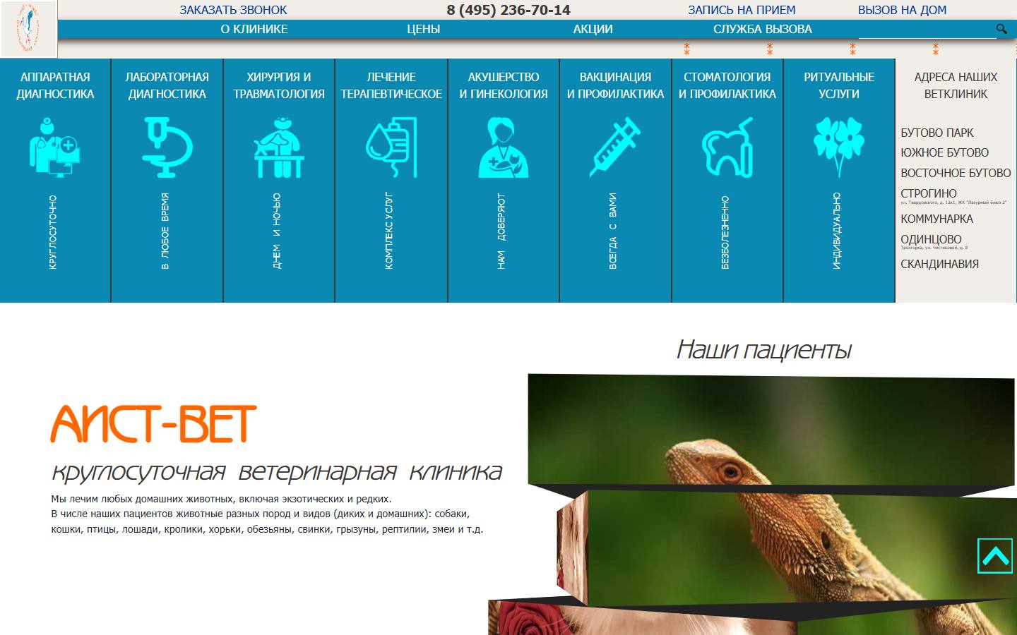 Главная страница сайта Аист-Вет (vetdoma.ru)