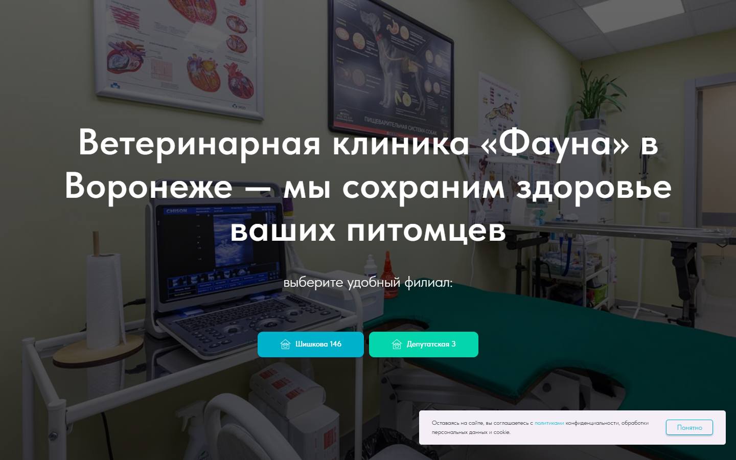 Главная страница сайта Фауна (vetklinikafauna.ru)