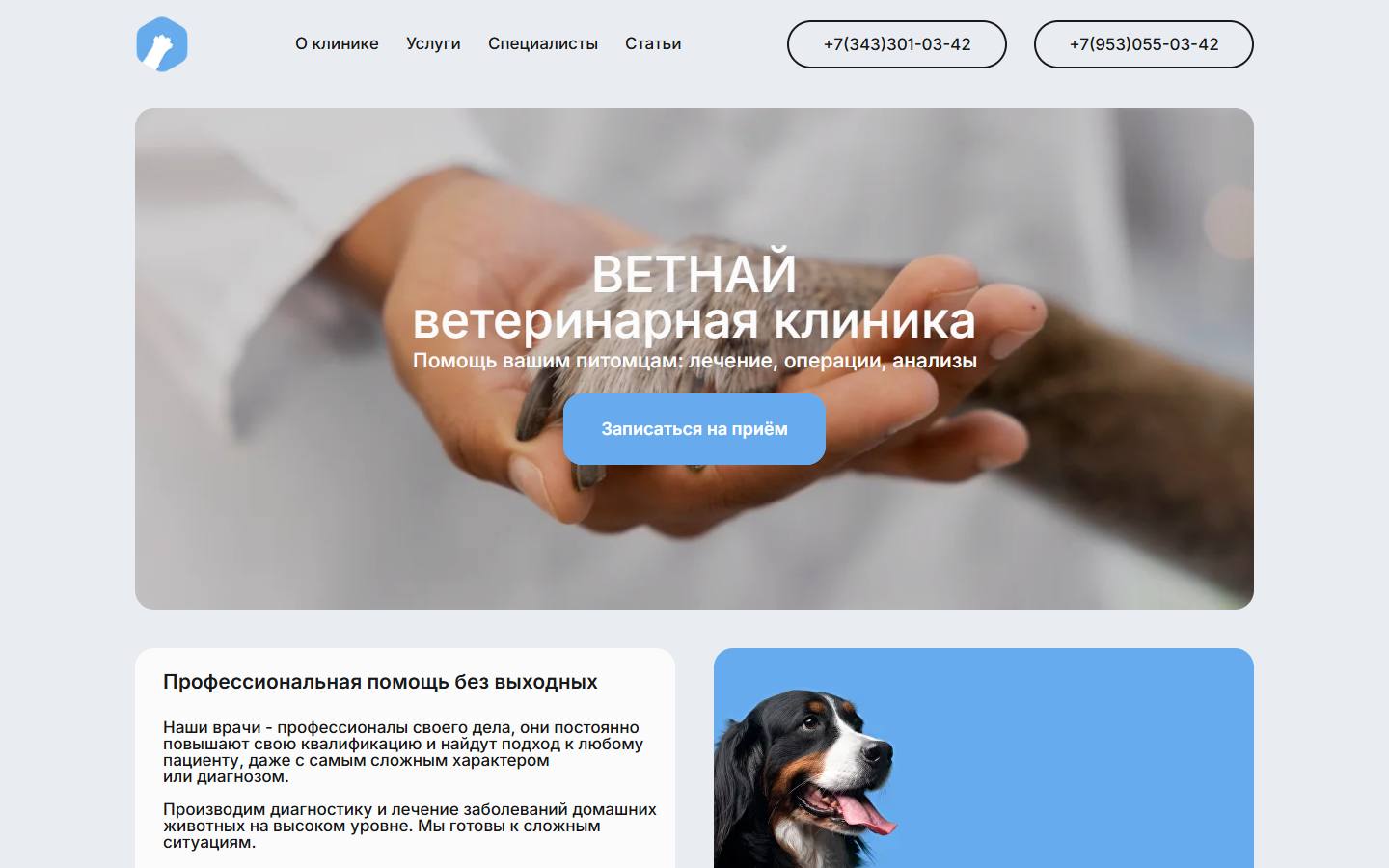Главная страница сайта Ветнай (vetnai.ru)