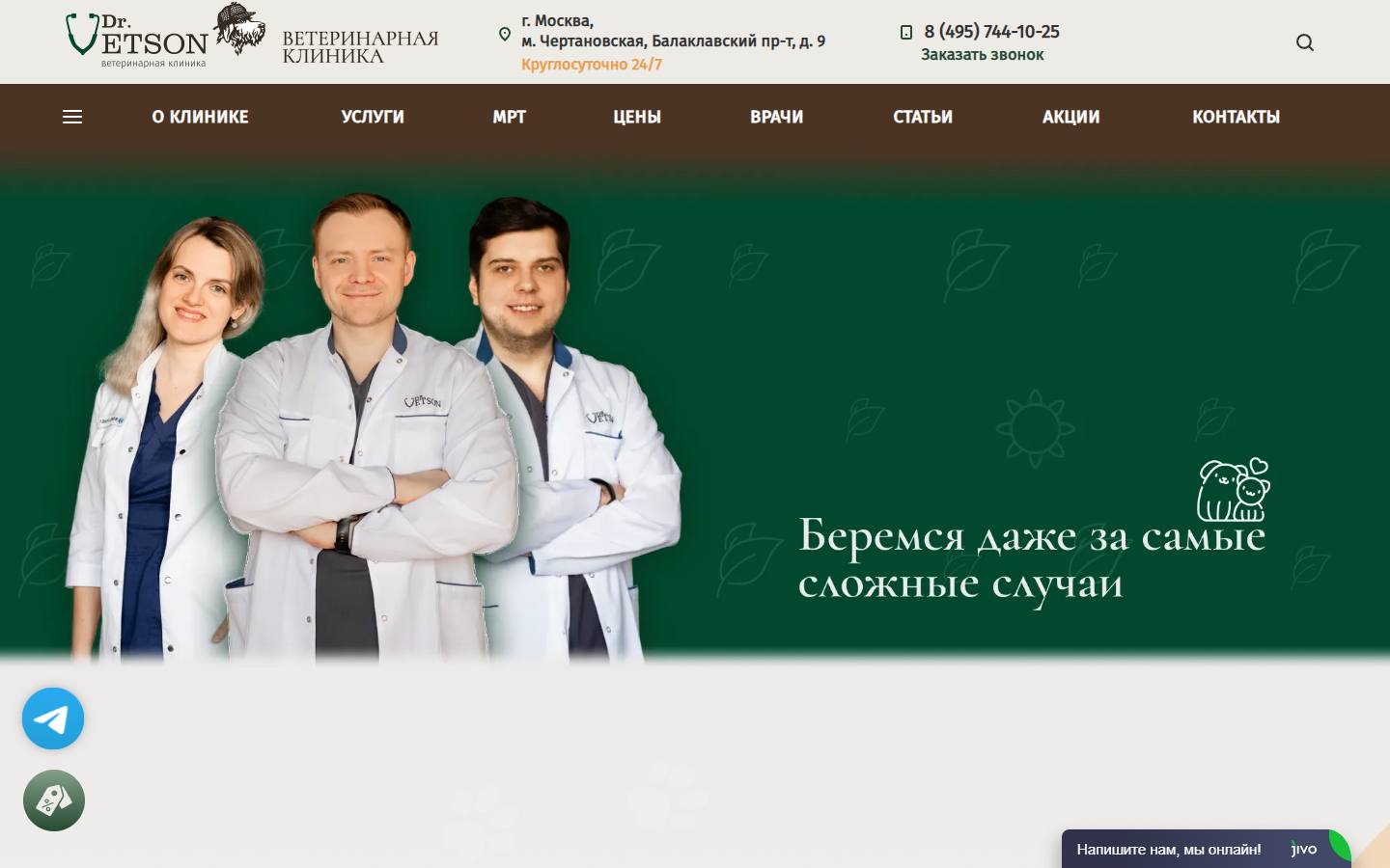 Главная страница сайта Dr. Vetson (vetson.ru)