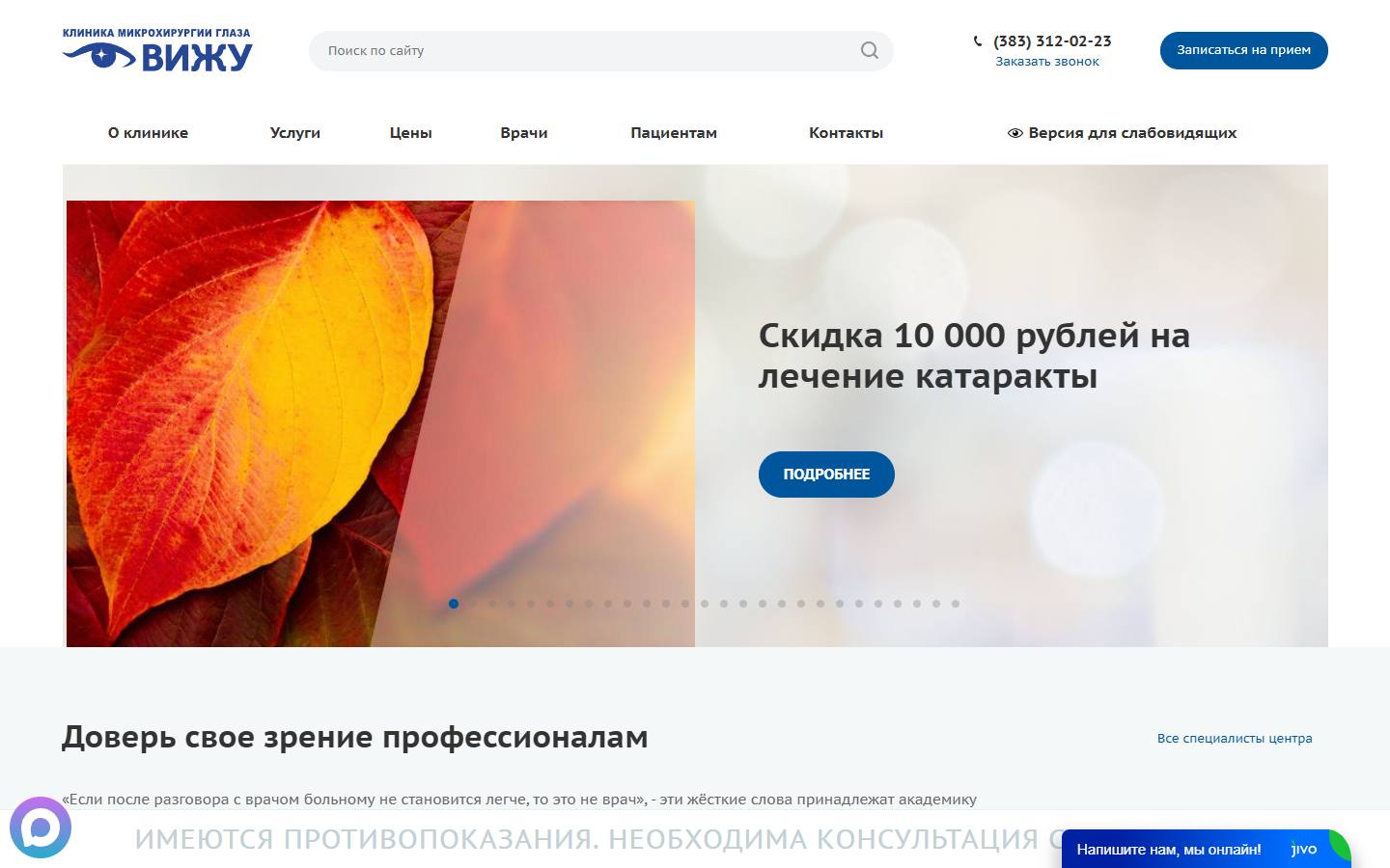 Главная страница сайта Вижу (vizhyclinic.ru)