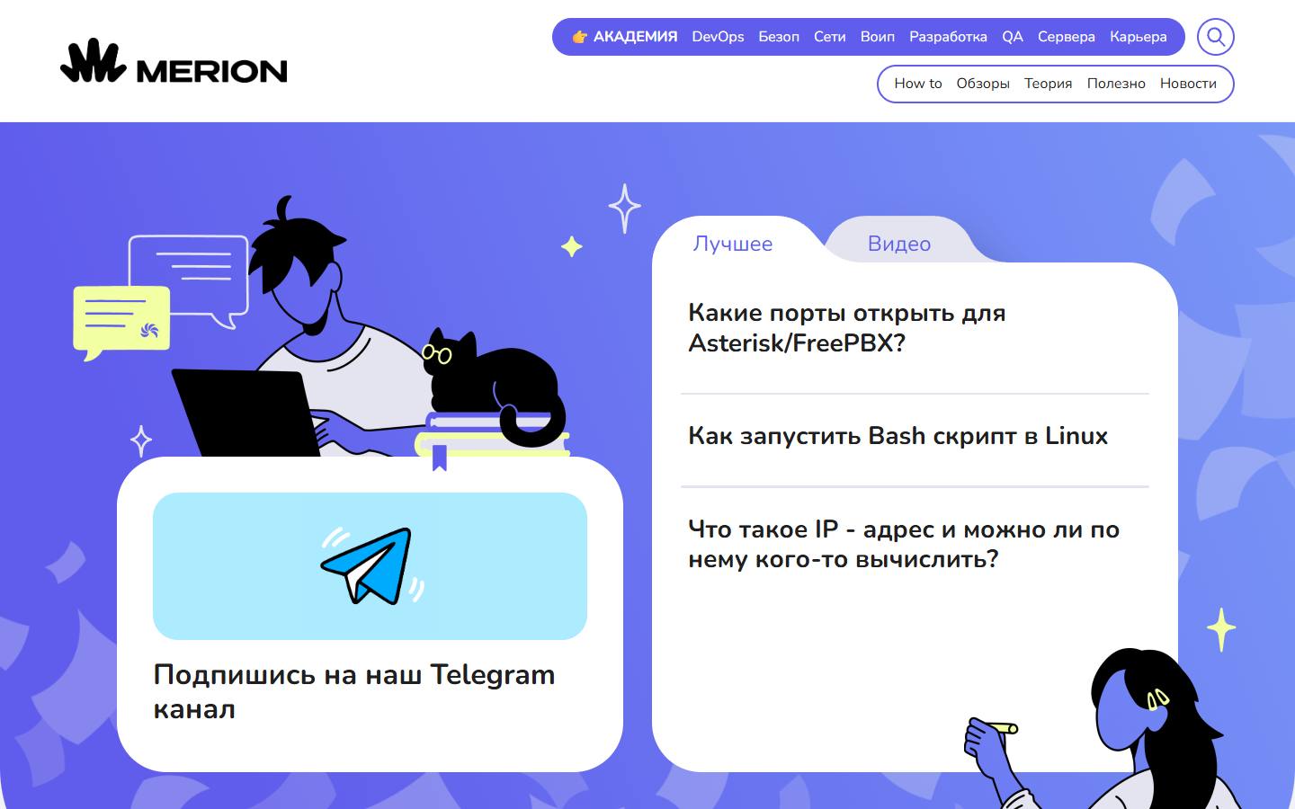 Главная страница сайта Merion Academy (wiki.merionet.ru)