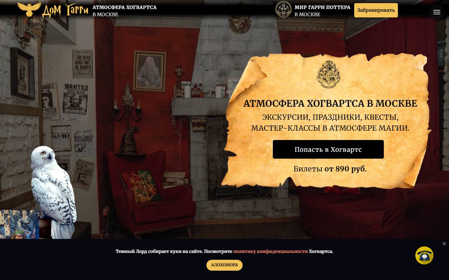 Главная страница сайта Дом Гарри Поттера (домгарри.рф)
