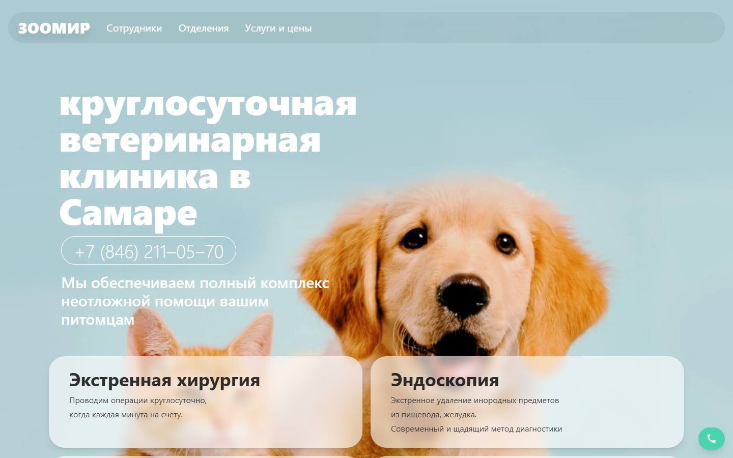 Главная страница сайта Зоомир (zoomir163.ru)